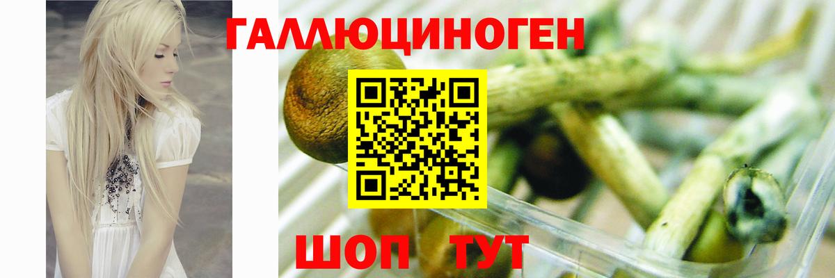 Псилоцибиновые грибы Magic Shrooms Богданович